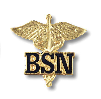 BSN/CADUCEUS PINS