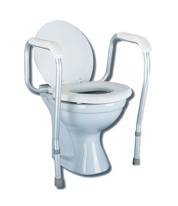 TOILET SAFETY RAILS - MHSTSF